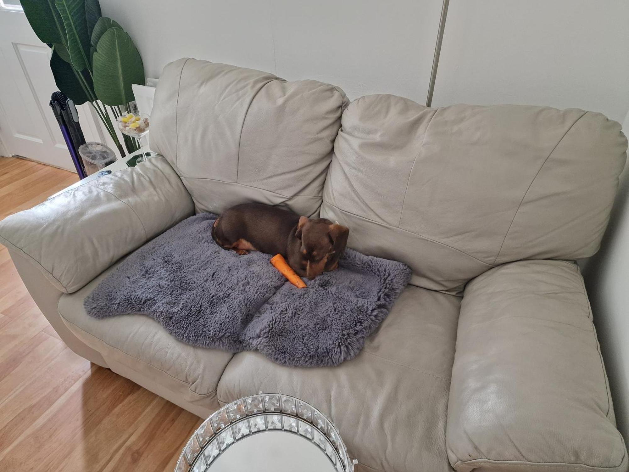 Aunty Katie'S House, Ni Tourist Board Certified & Located On The Main Oldpark Road To Belfast, With Free Continental Breakfast & Free Ultra Fast Sky Internet, Free Sky Sports & Free Sky Cinema, Self-Check In After 10Pm Gmt Pansiyon Dış mekan fotoğraf